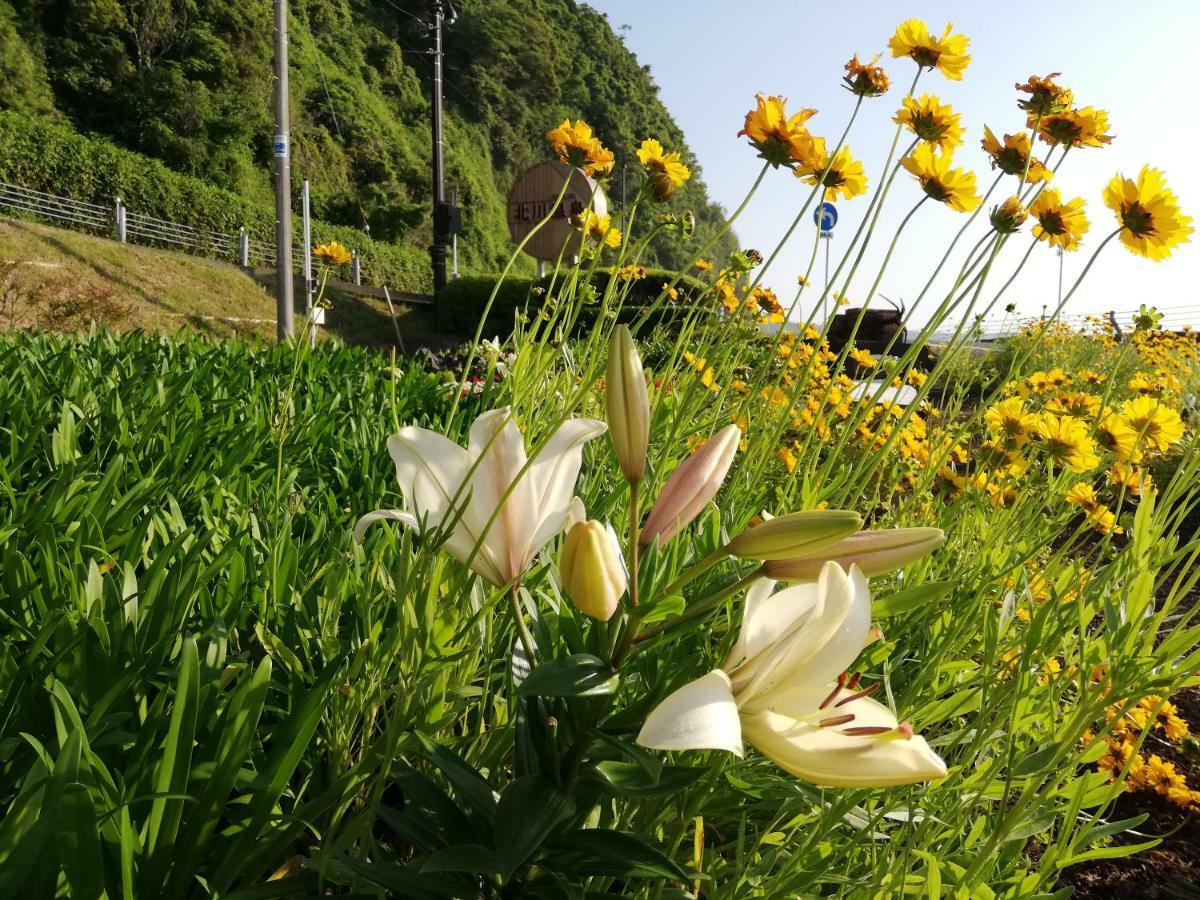 Izu Hokkawa Seaside Guesthouse  東伊豆町 エクステリア 写真